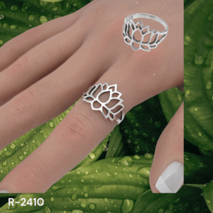 ANILLO